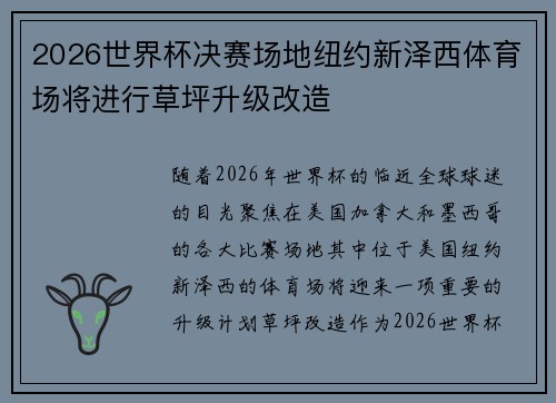 2026世界杯决赛场地纽约新泽西体育场将进行草坪升级改造