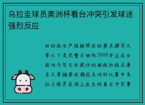 乌拉圭球员美洲杯看台冲突引发球迷强烈反应