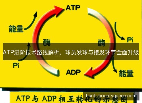 ATP进阶技术路线解析，球员发球与接发环节全面升级